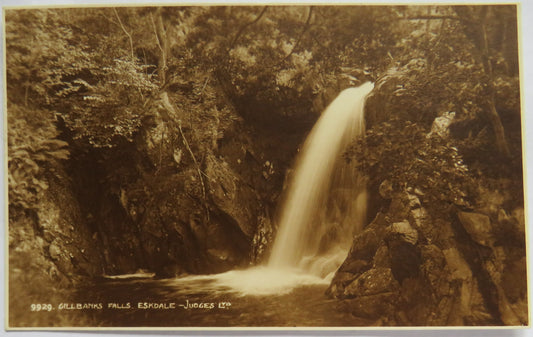 Vintage Postcard of Gillbanks Falls, Eskdale