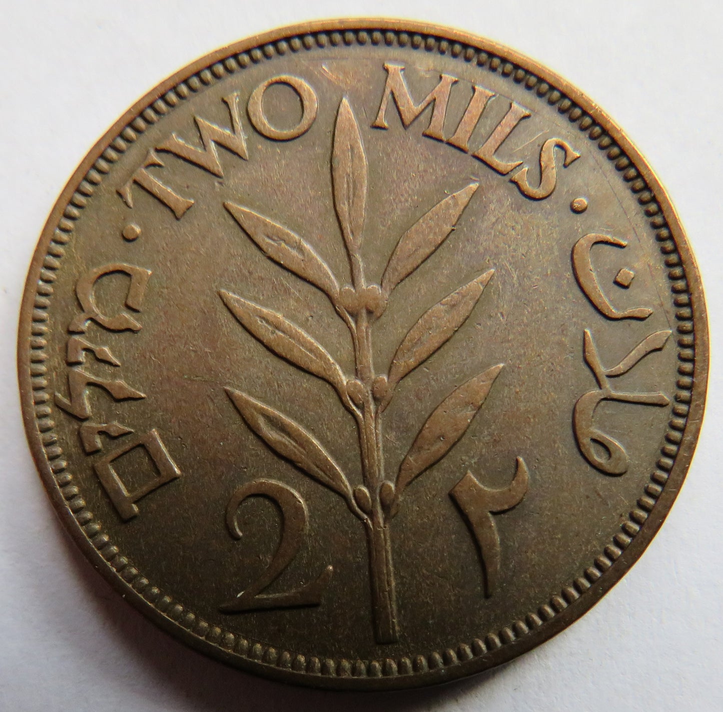 1927 Palestine 2 Mils Coin