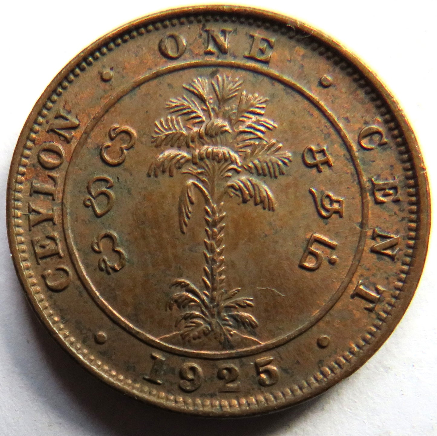 1925 King George V Ceylon One Cent Coin
