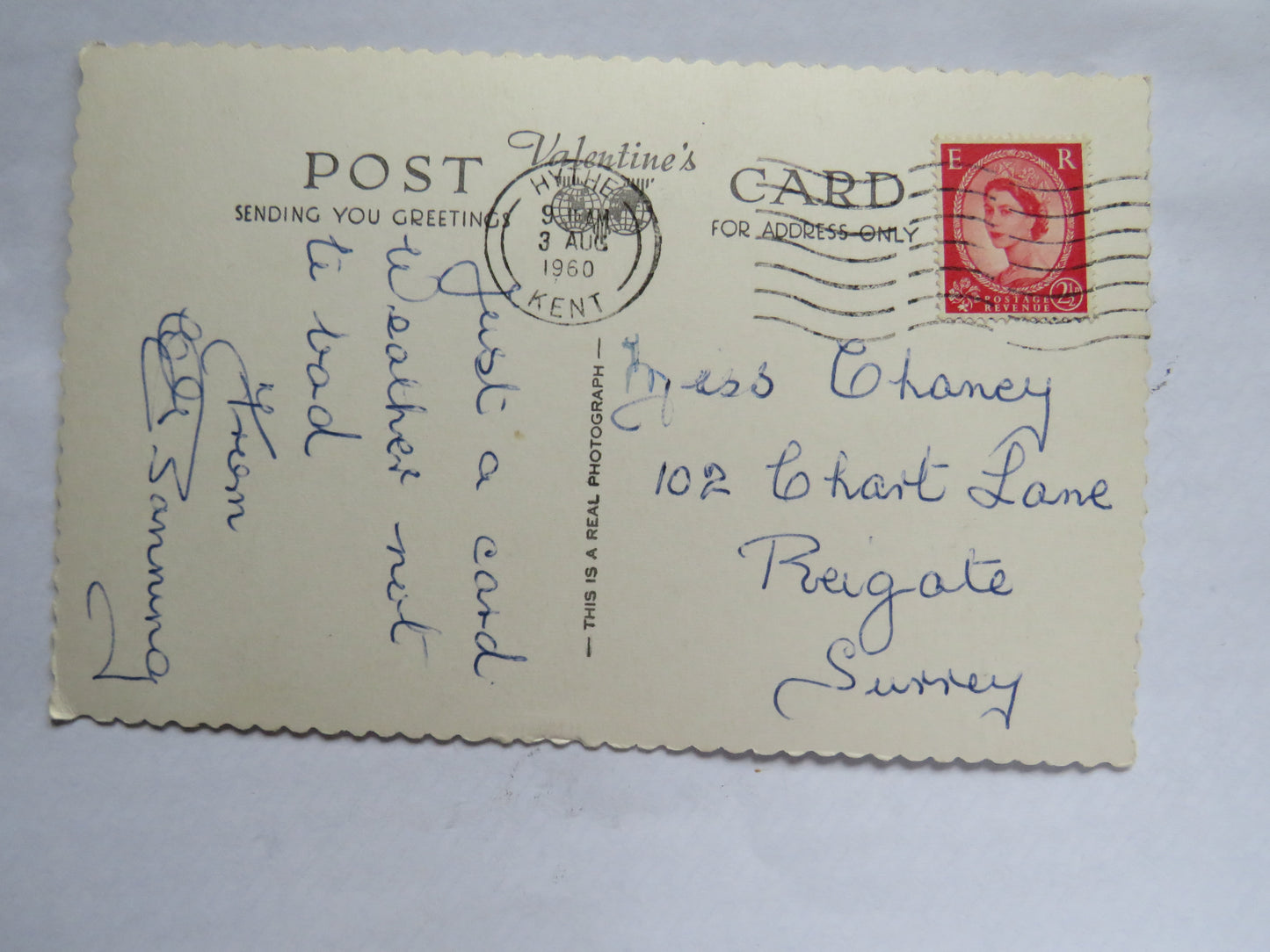 Vintage Postcard of The Warren, Folkestone, 1960