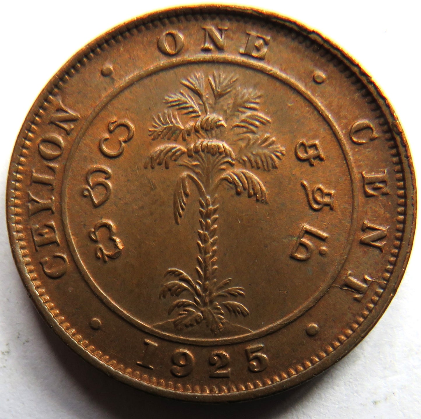1925 King George V Ceylon One Cent Coin In Higher Grade