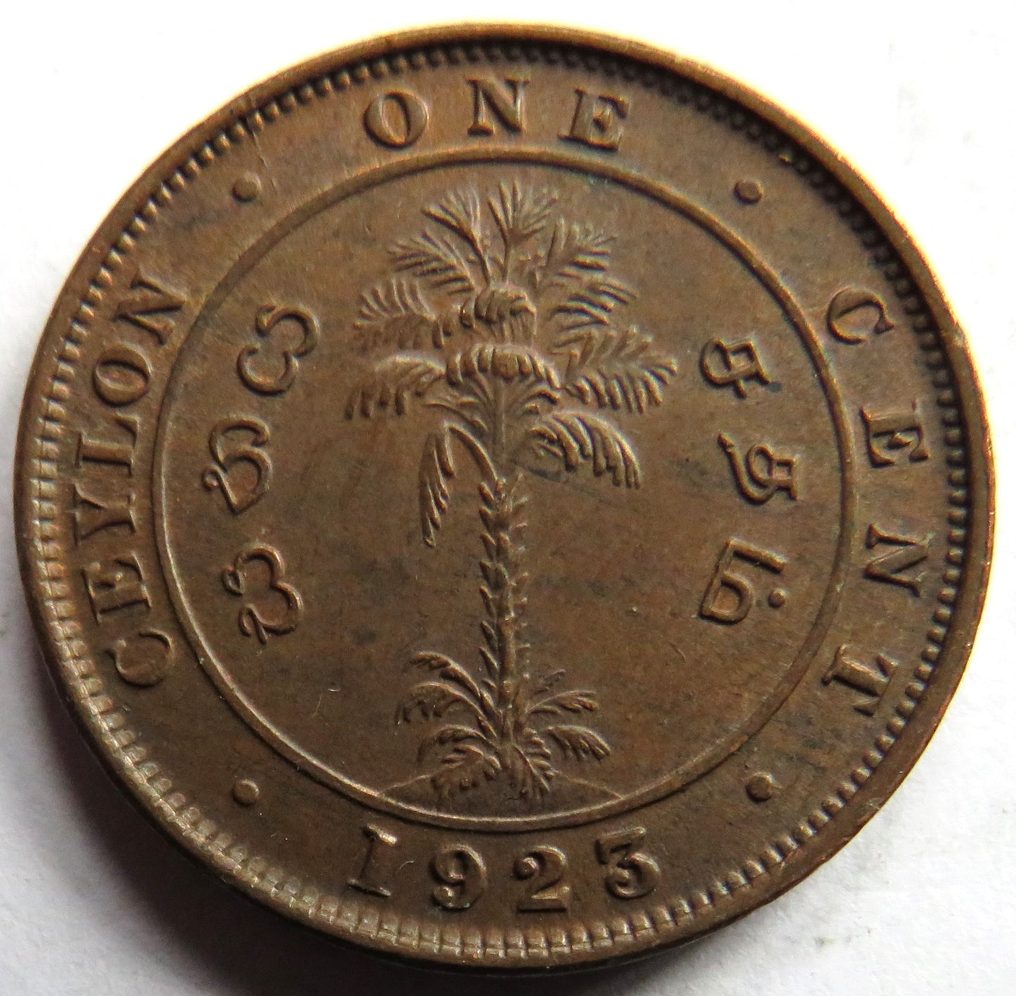 1923 King George V Ceylon One Cent Coin In Higher Grade