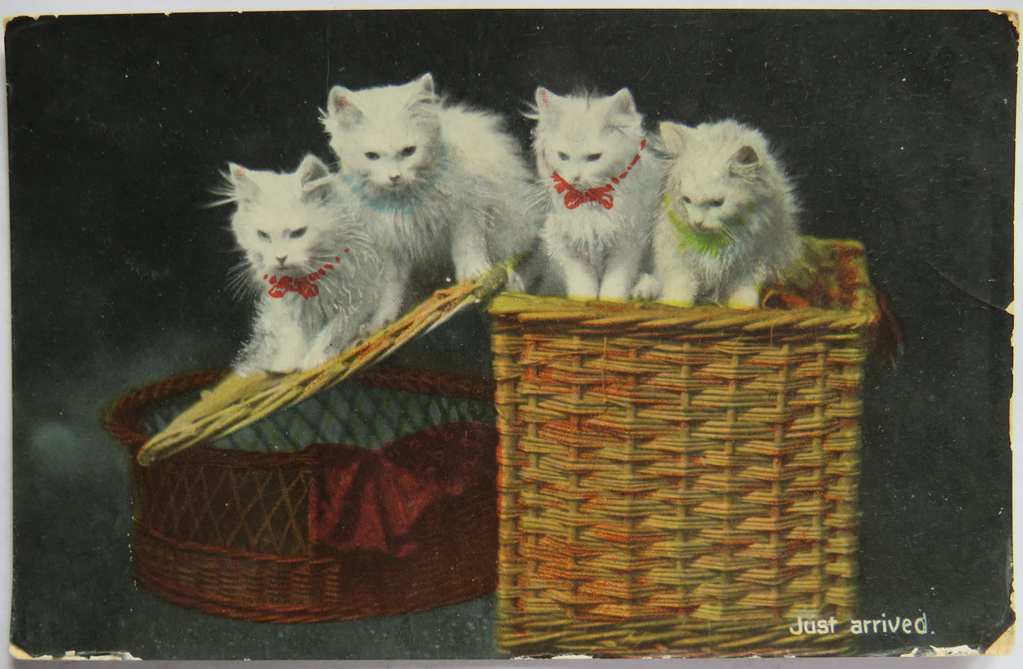 Vintage Postcard of Cats In Basket "Just Arrived"
