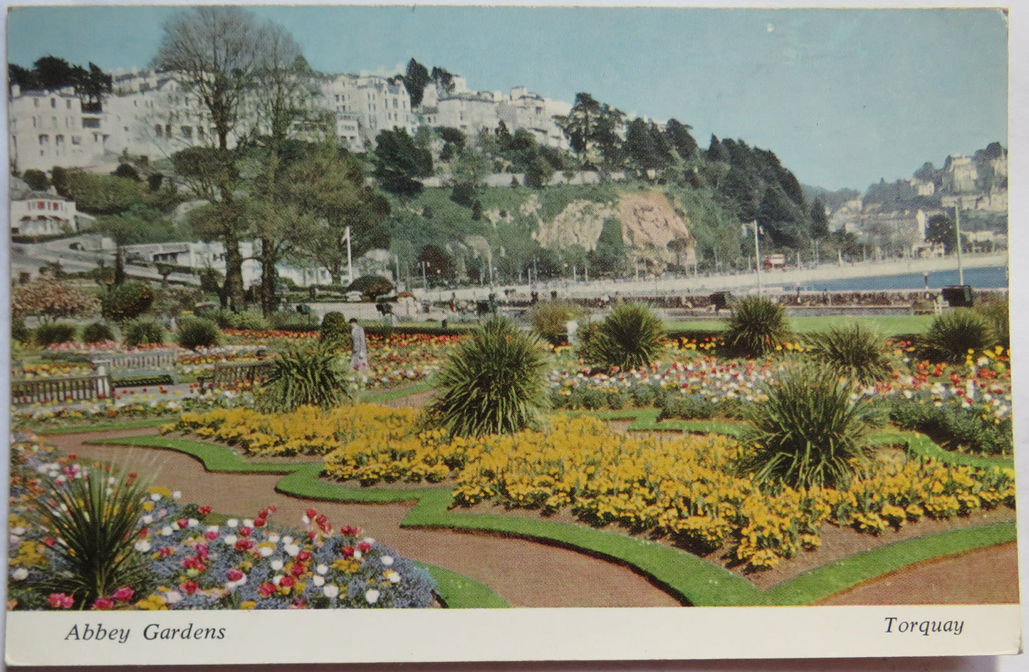 Vintage Postcard of Abbey Gardens, Torquay
