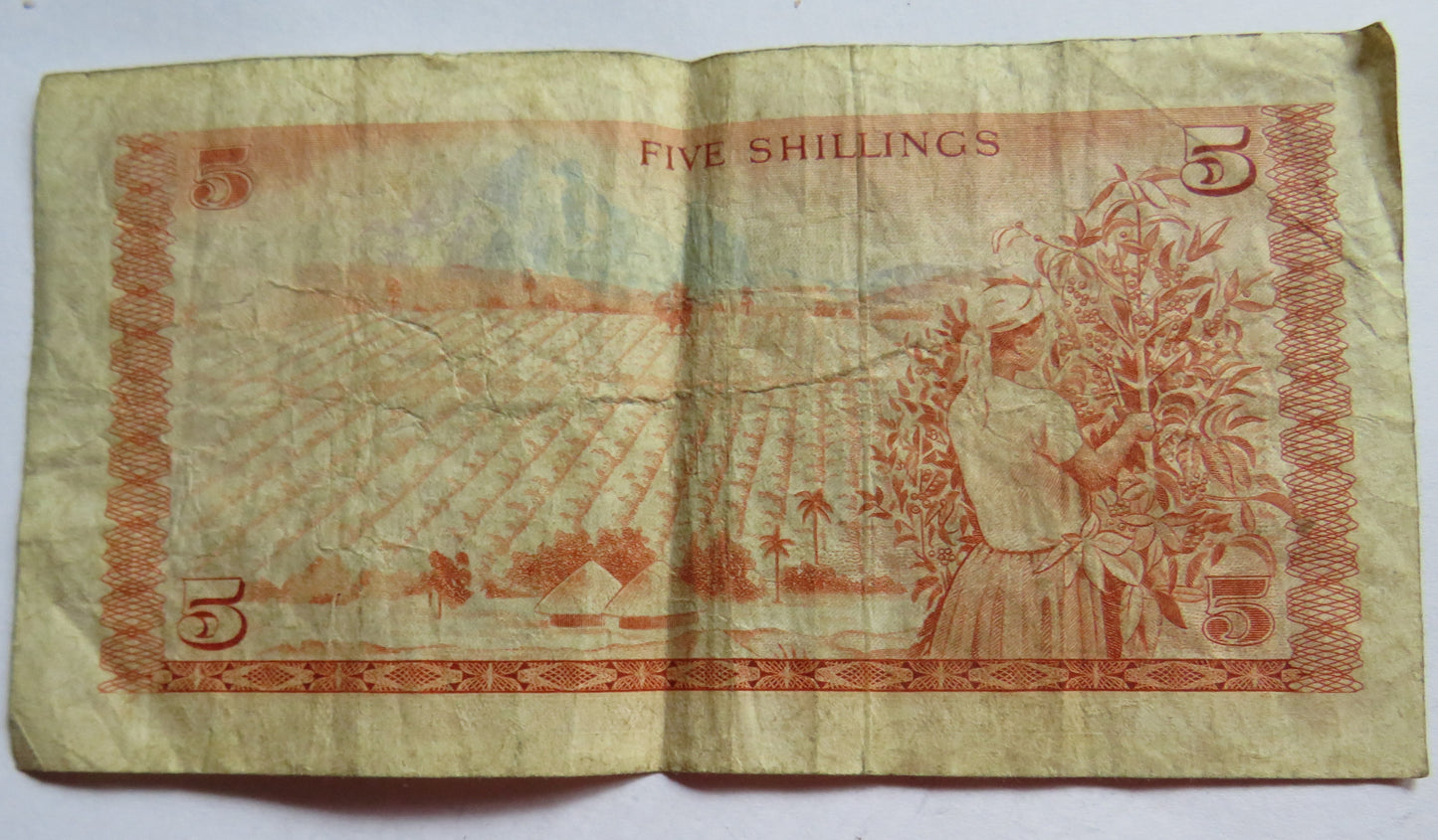 1975 Kenya 5 Shilingi Tano Banknote