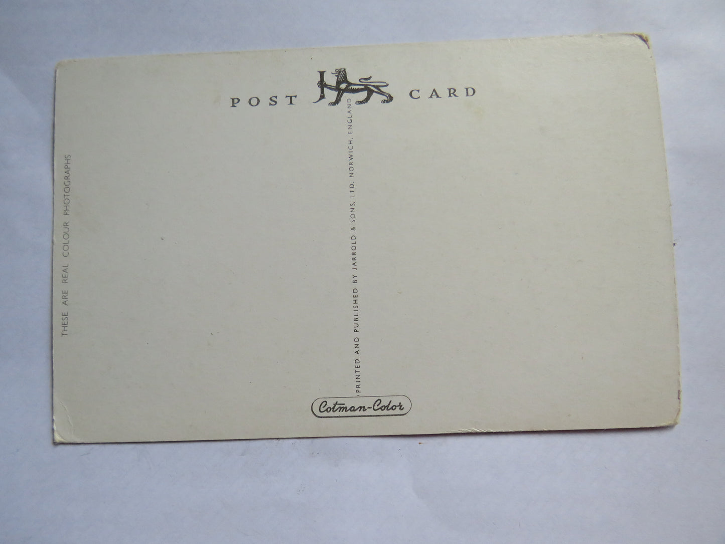 Vintage Postcard of Greetings from Ilfracombe, Multiview Postcard