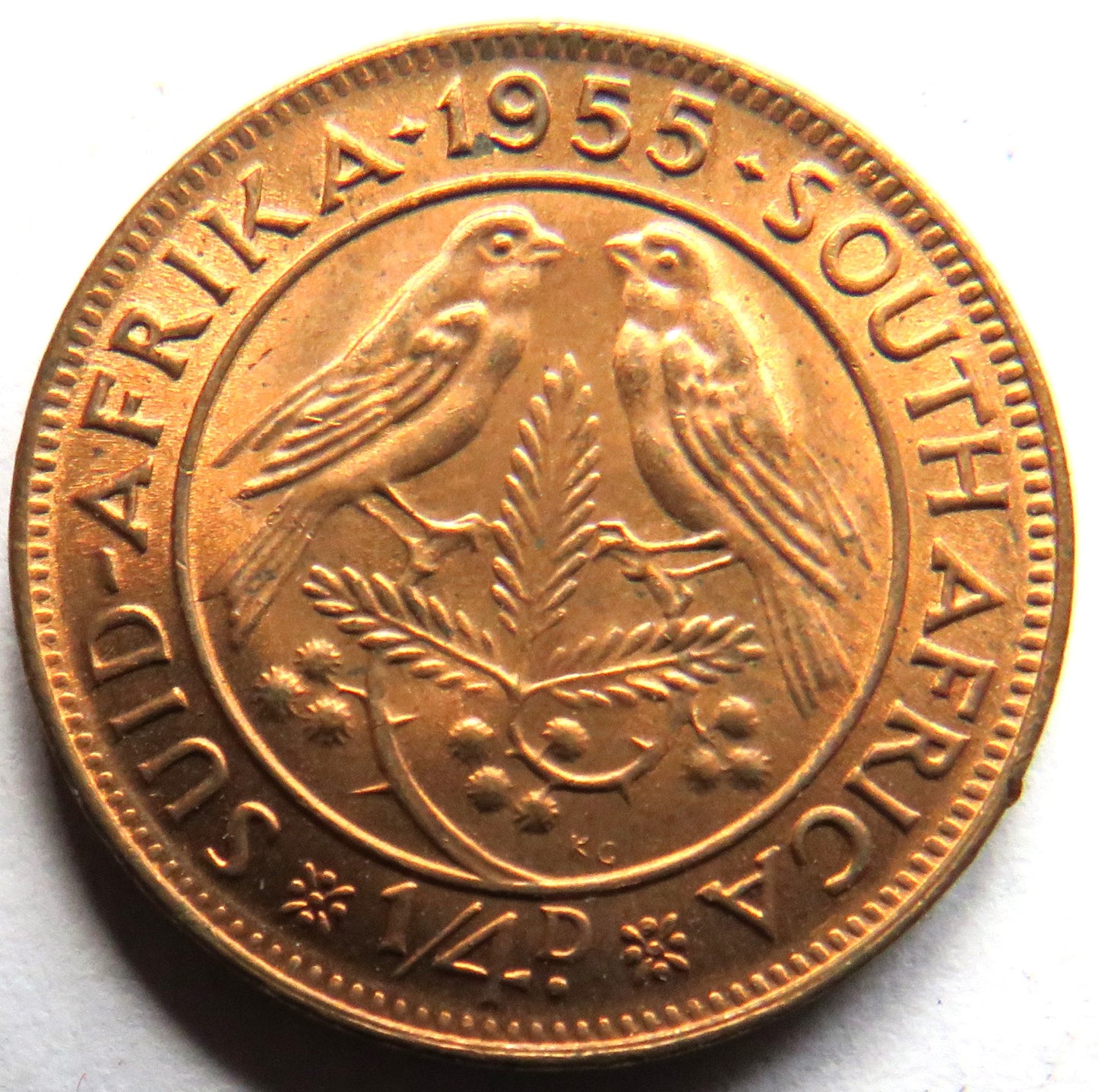 1955 Queen Elizabeth II South Africa Farthing Coin In High Grade