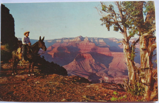Vintage Postcard of Grand Canyon National park, Arizona, 1965