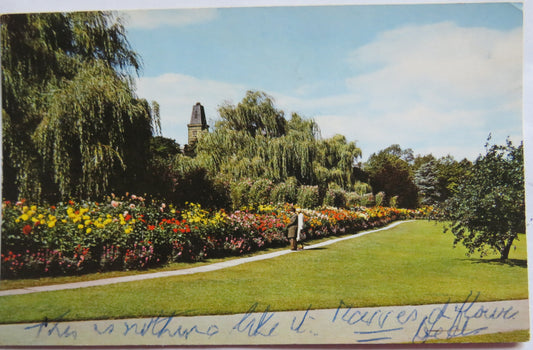 Vintage Postcard of The Dahlia Way, Valley Gardens, Harrogate, 1968