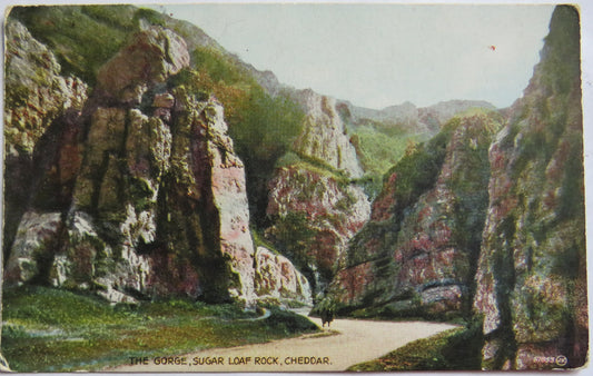 Vintage Postcard of The Gorge, Sugar Loaf Rock, Cheddar