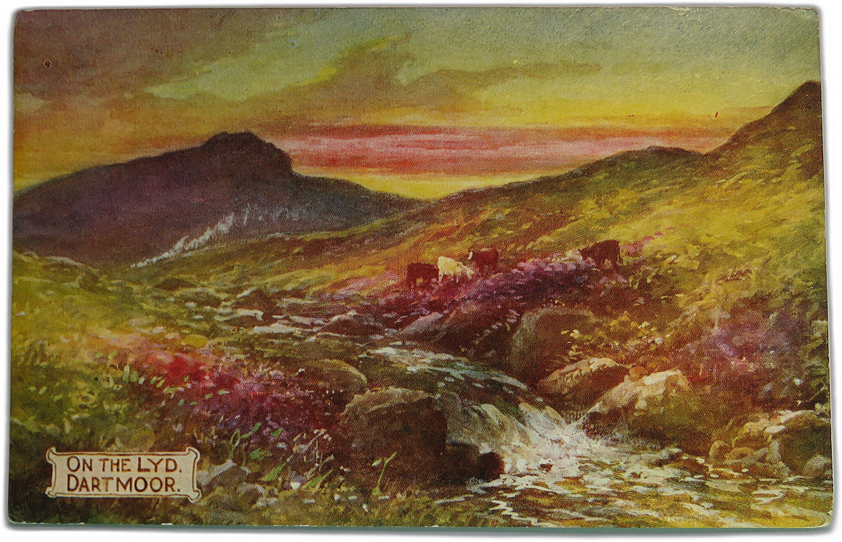 Vintage Postcard of On The Lyd, Dartmoor image 1