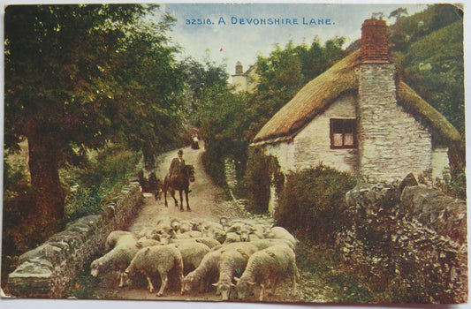 Vintage Postcard of A Devonshire Lane