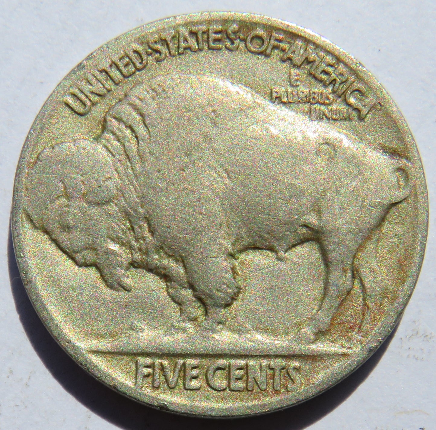 1929 USA Buffalo Nickel Coin
