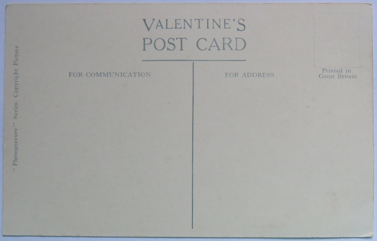 Vintage Postcard of Ely Cathedral Tower from Palace Grounds - Valentine's Post Card image 2
