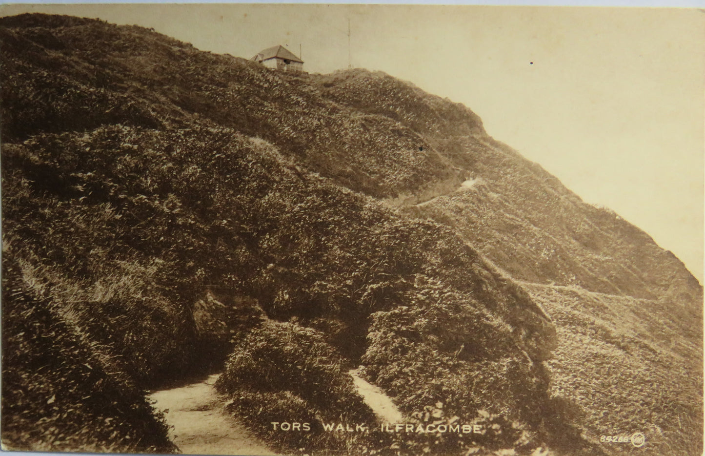 Vintage Postcard of Tors Walk, Ilfracombe