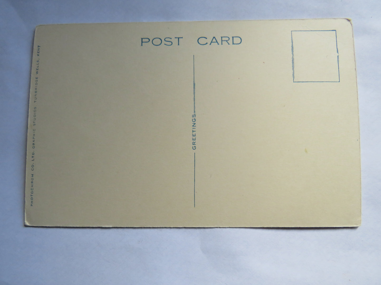 Vintage Postcard of Dartmoor Ponies