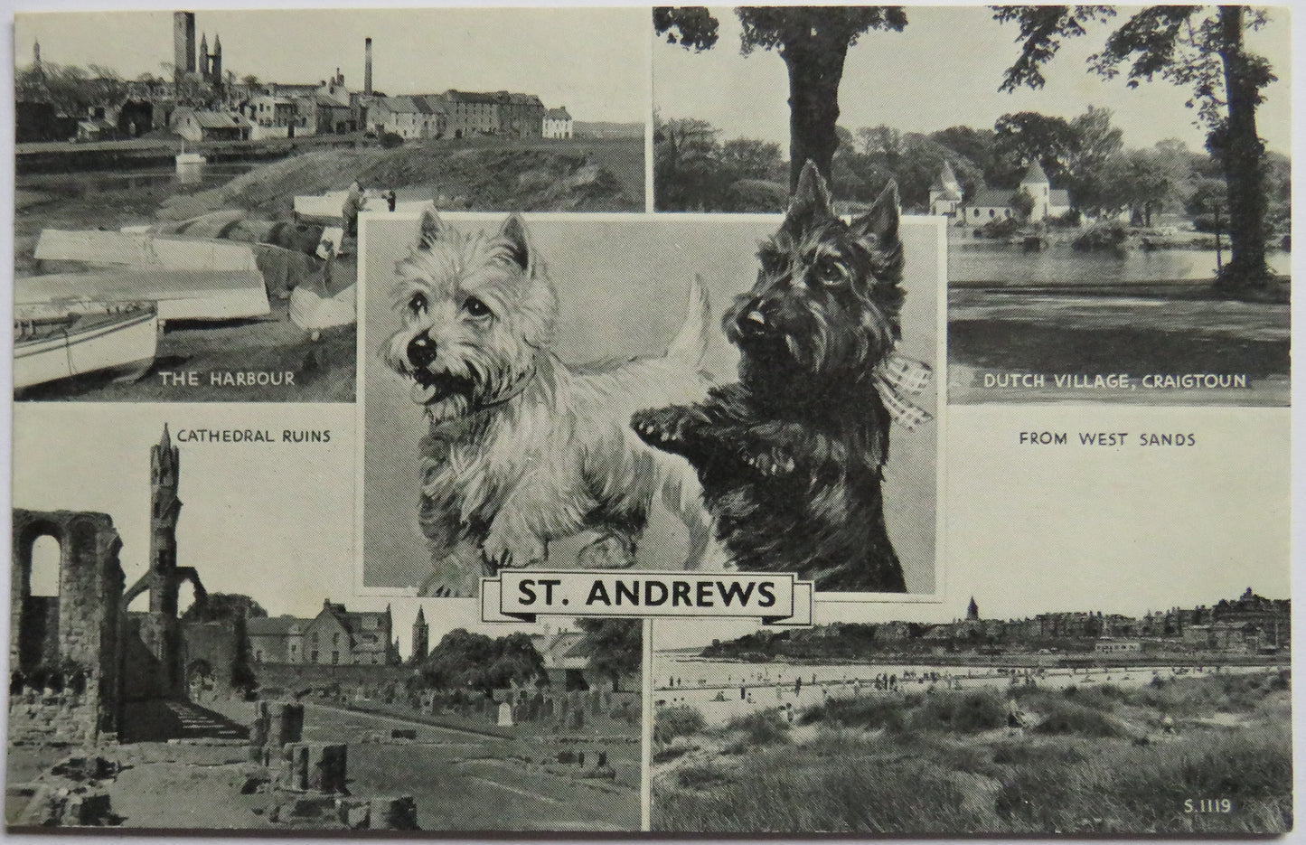Vintage Multiview Postcard of Best of St Andrews,
