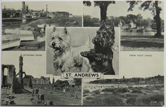 Vintage Multiview Postcard of Best of St Andrews,