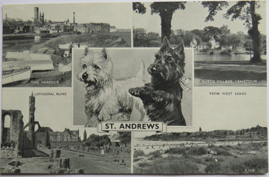 Vintage Multiview Postcard of Best of St Andrews.