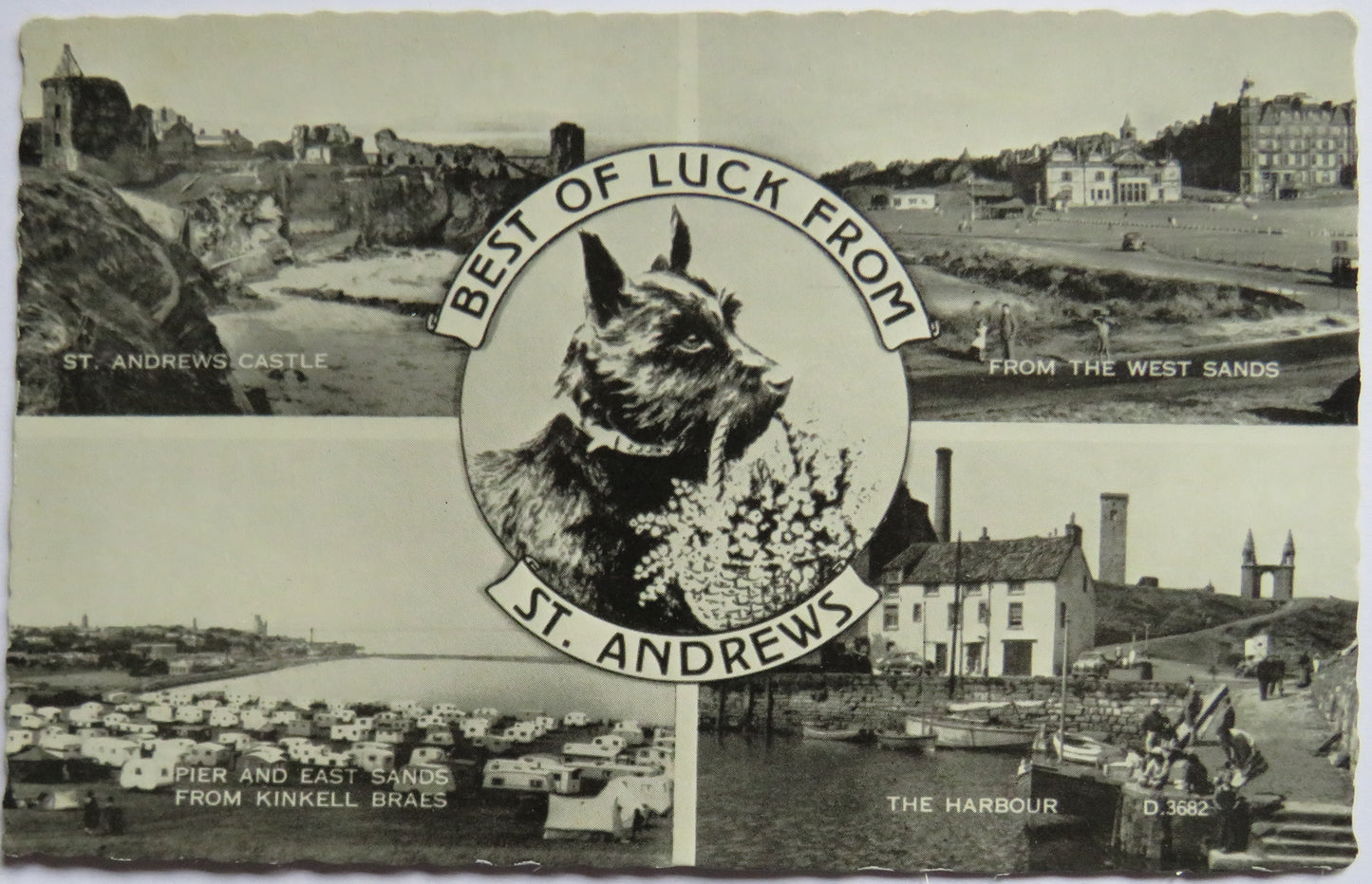 Vintage Postcard of Best of Luck From St Andrews