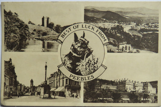 Vintage Postcard of Best of Luck From Peebles