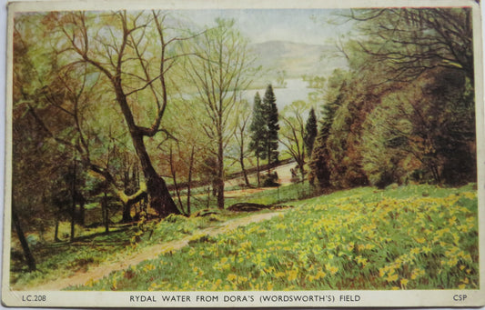 Vintage Postcard of Rydal Water From Dora's (Wordsworth's Field)