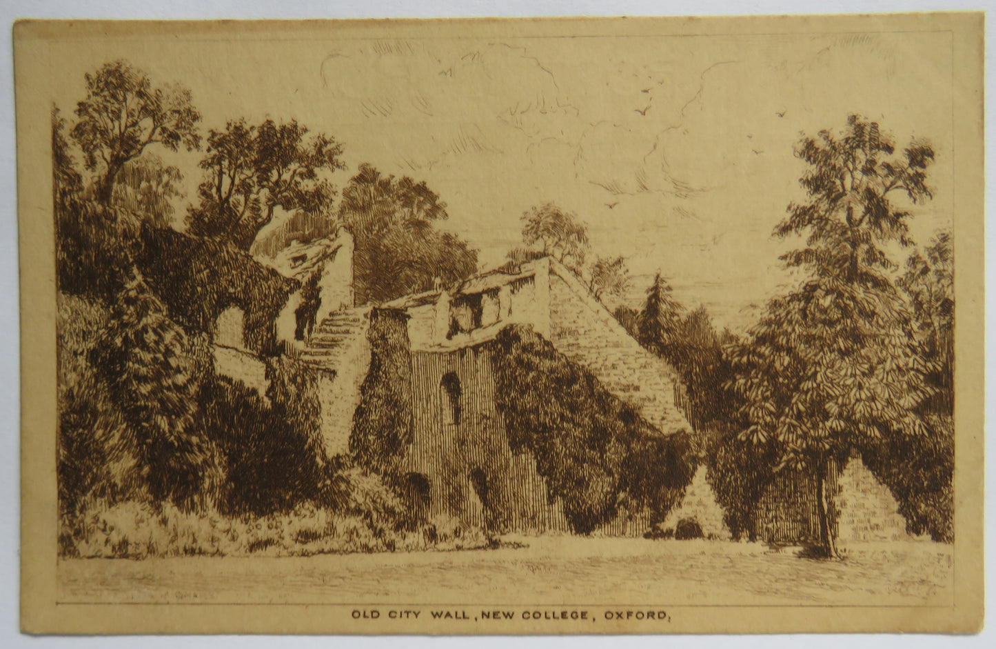 Vintage Postcard of Old City Wall, New College, Oxford