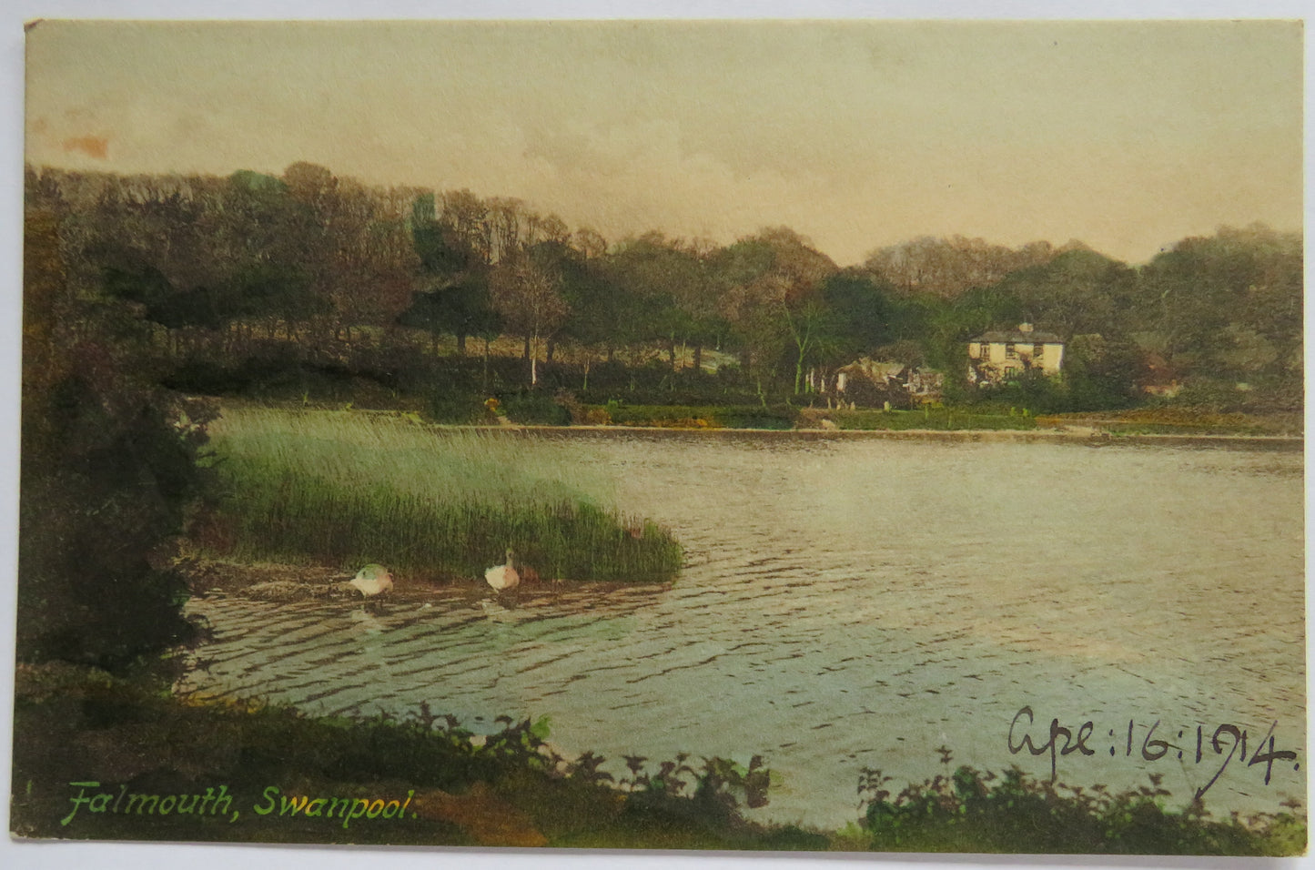 Vintage Postcard of Falmouth, Swanpool