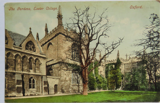Vintage Postcard of The Gardens, Exeter College