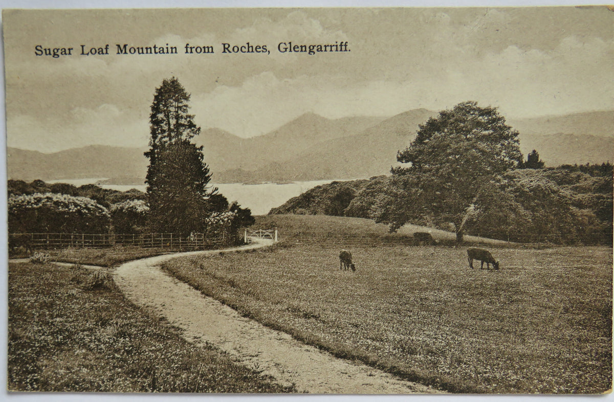 Vintage Postcard of Sugar Loaf Mountain fro Roches, Glengarriff