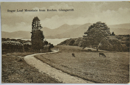 Vintage Postcard of Sugar Loaf Mountain fro Roches, Glengarriff