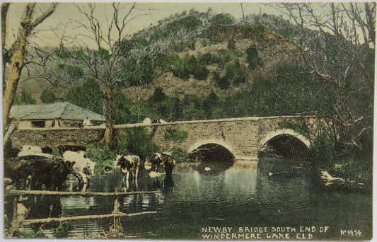 Vintage Postcard of Newby Bridge, South End of Windermere Lake