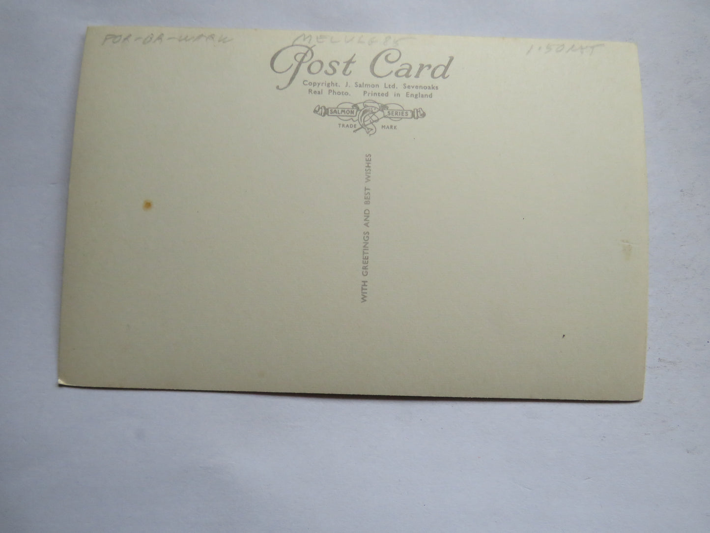 Vintage Postcard of Warwick Castle from the Island