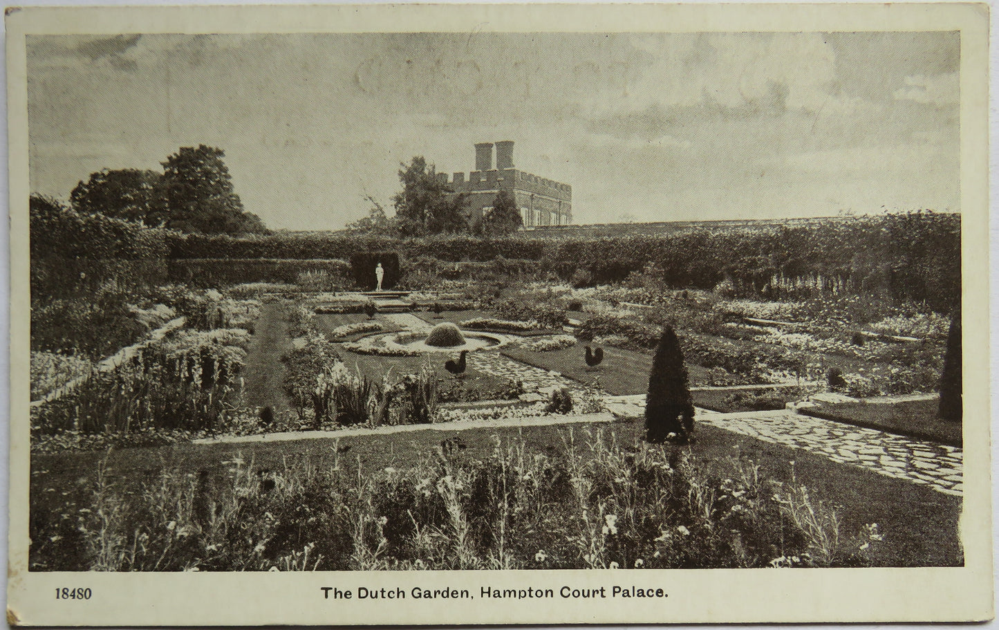 Vintage Postcard of The Dutch Garden, Hampton Court Palace