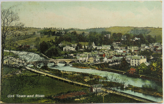 Vintage Postcard of Usk Town and River, 1907