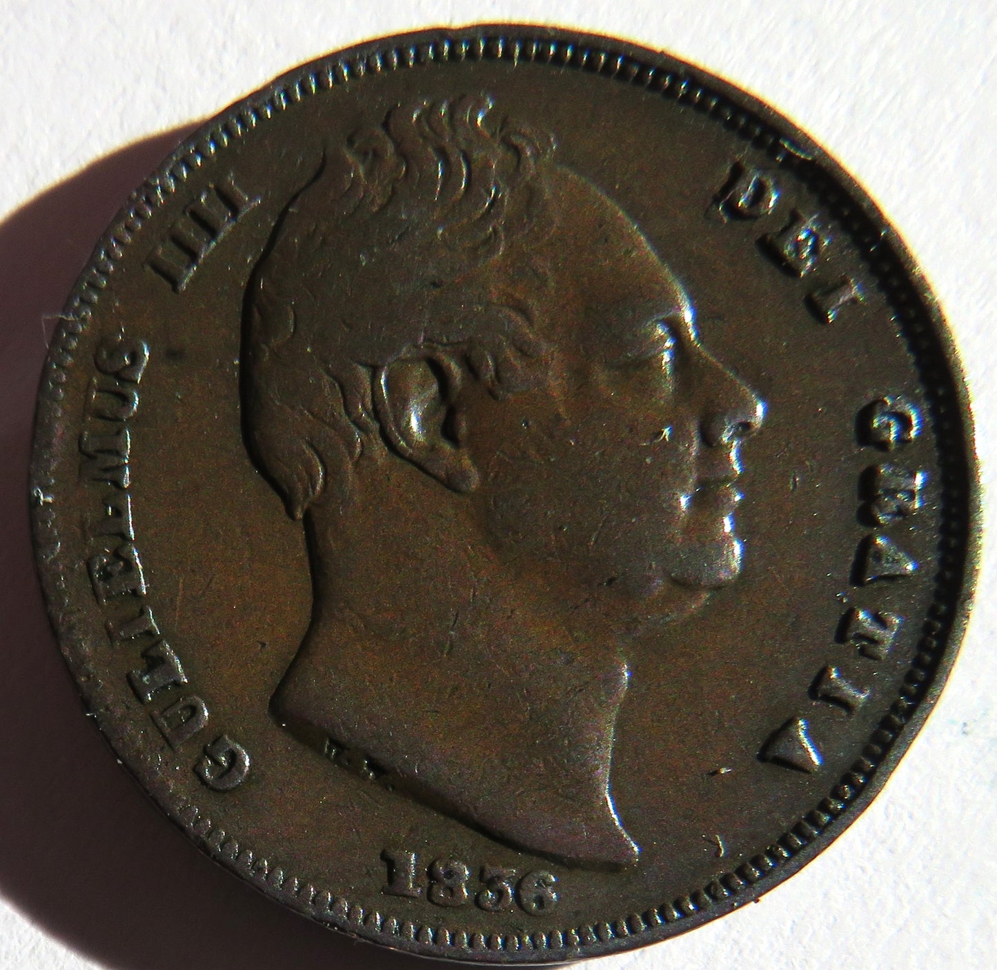 1836 King William IV Farthing Coin - Great Britain
