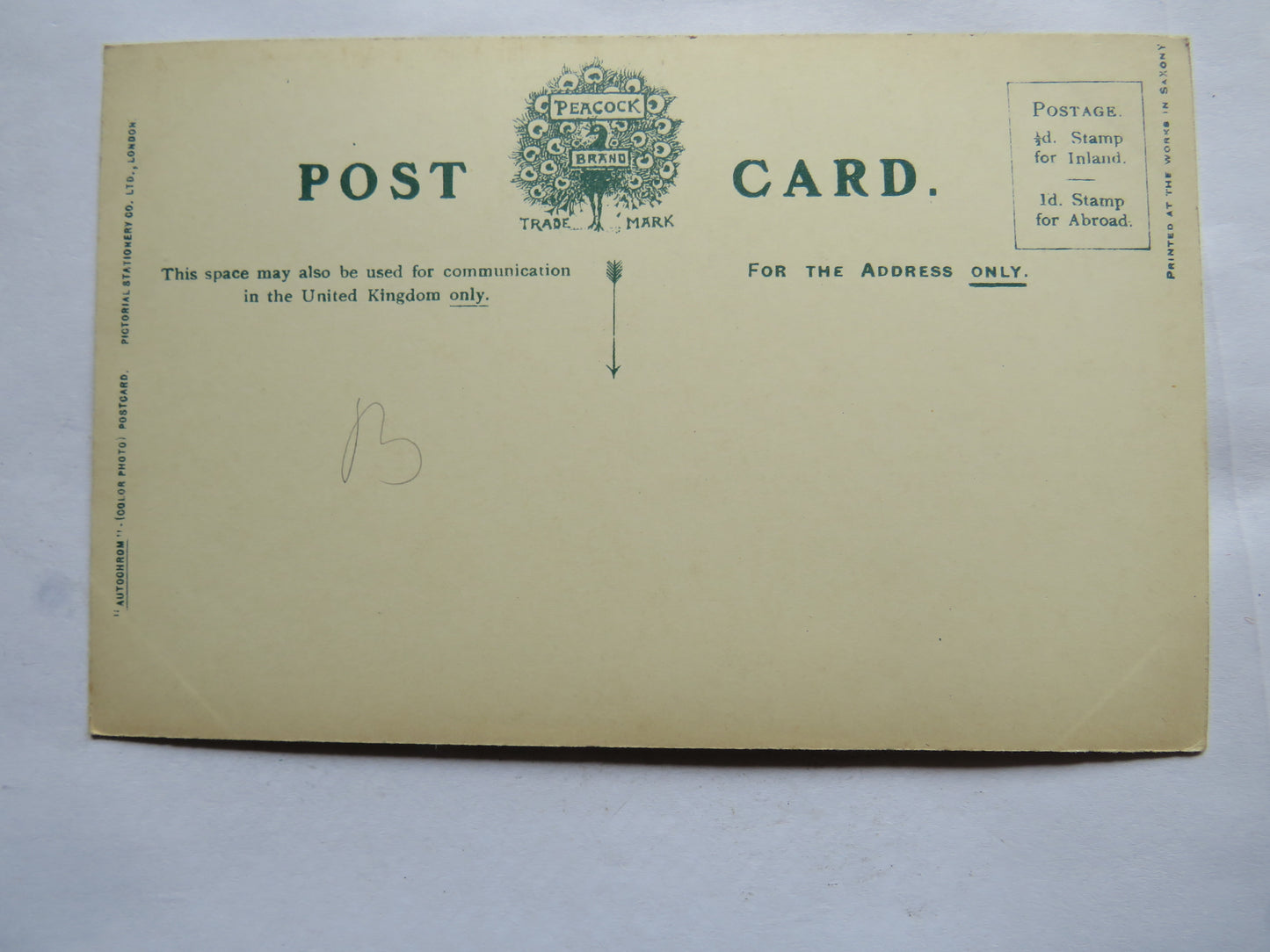 Vintage Postcard of Kenilworth Castle and Rustic Bridge