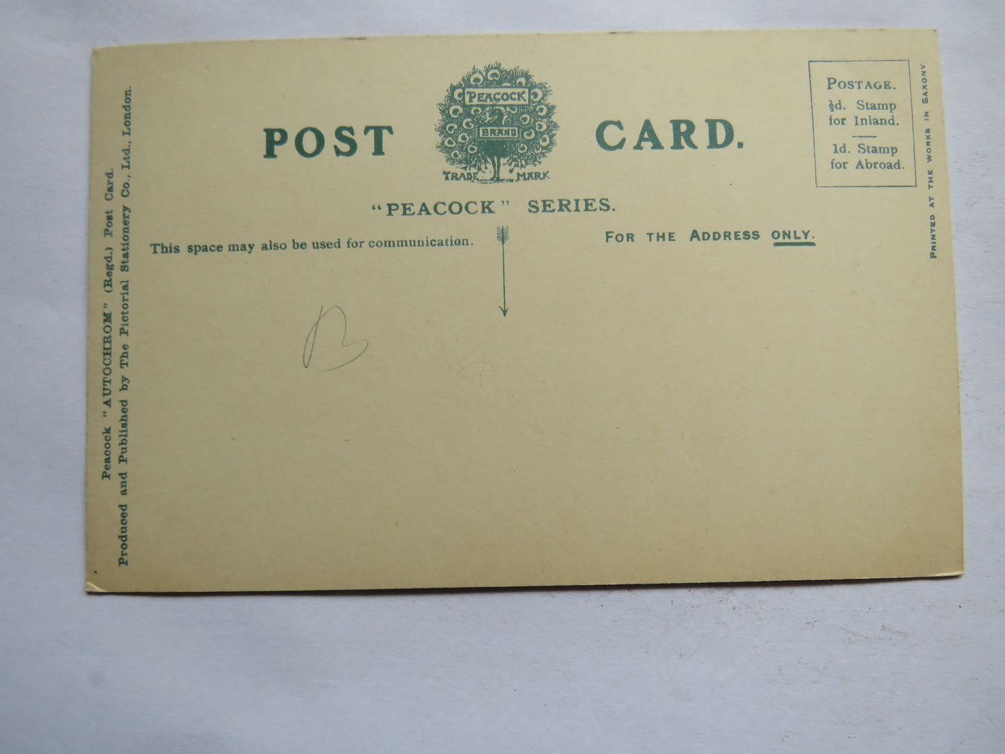 Vintage Postcard of Kenilworth Castle - Peacock Series