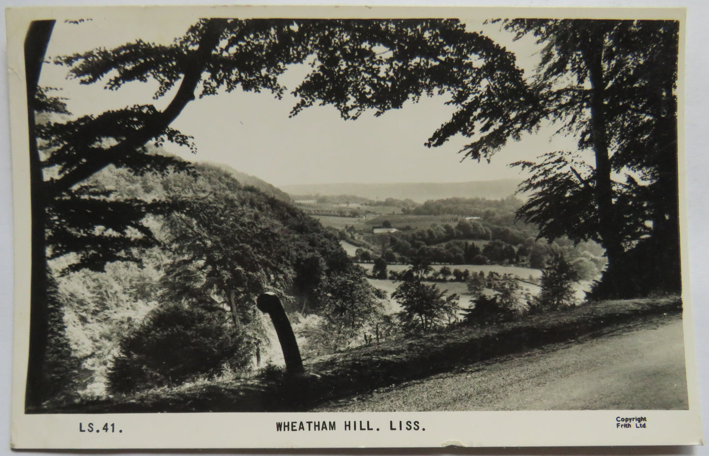 Vintage Postcard of Wheatham Hill, Liss