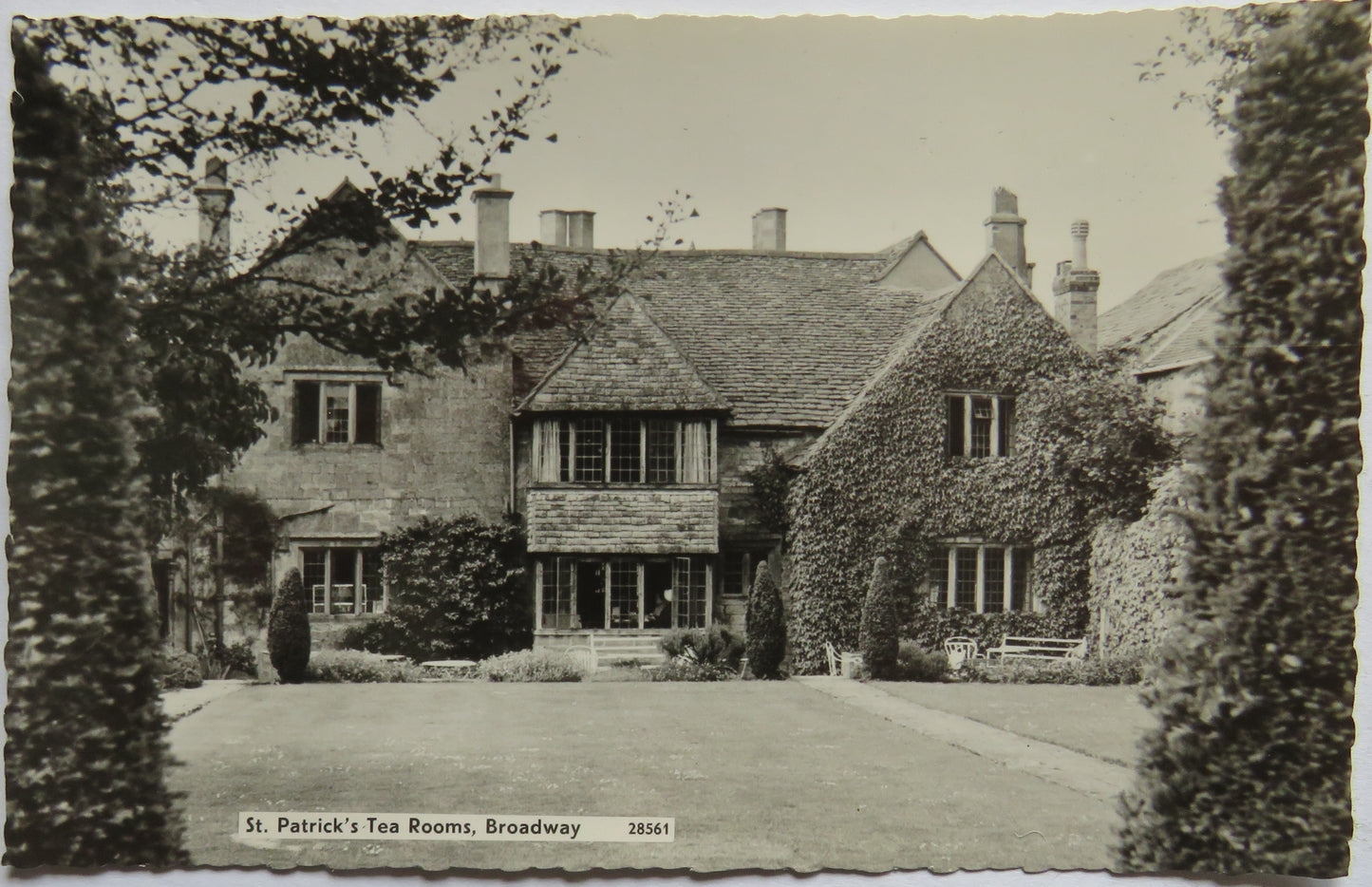 Vintage Postcard of St. Patrick's Tea Rooms, Broadway