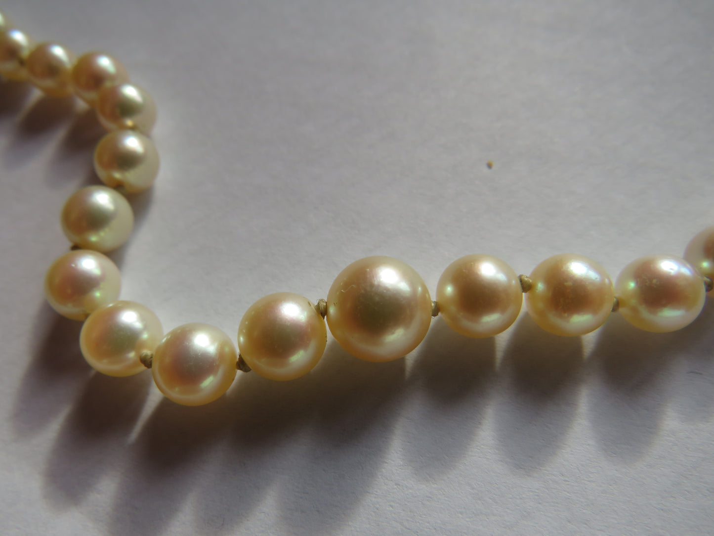 Vintage Ladies Graduated Pearl Necklace With Garnet & Gold Clasp Beautiful Quality