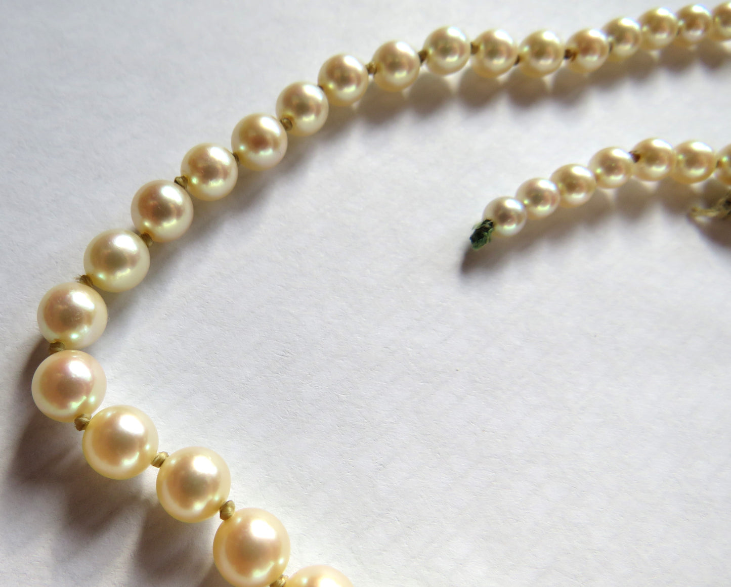 Vintage Ladies Graduated Pearl Necklace With Garnet & Gold Clasp Beautiful Quality