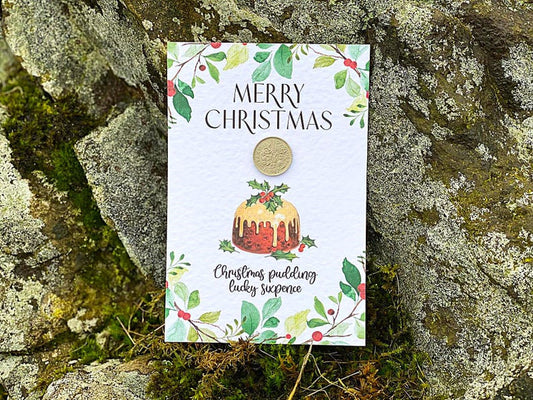 Christmas Pudding Lucky Sixpence Gift