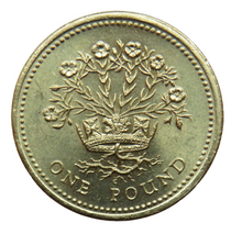 Load image into Gallery viewer, 1991 Queen Elizabeth II £1 One Pound Coin - Northern Ireland Flax
